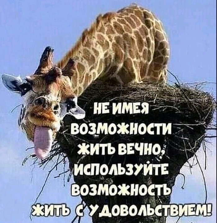 ����� � �������������