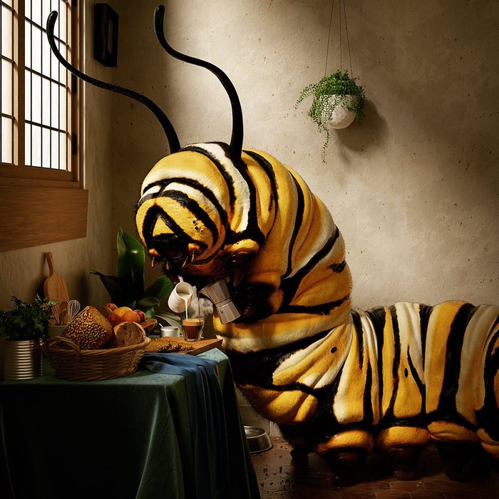 Утро монарха