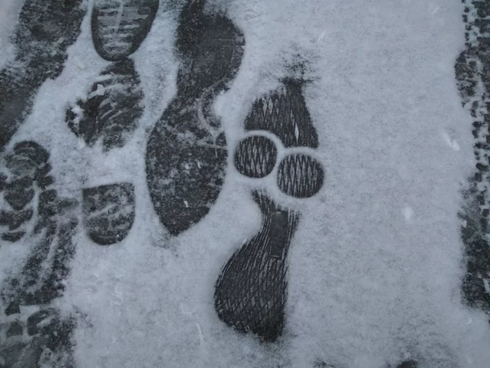 Stranger - Snow, Footprints, Silhouette, Funny, It seemed, Pareidolia