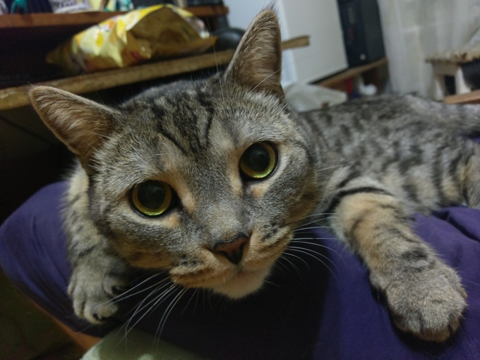 ������� � ����