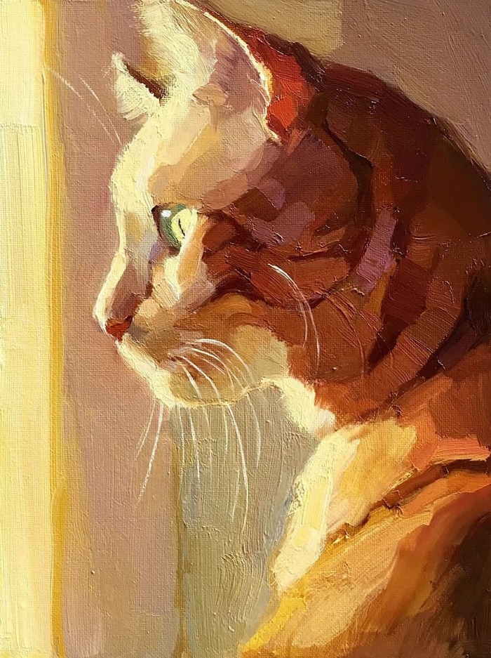 Кот и черный квадрат что значит. Смотреть фото Кот и черный квадрат что значит. Смотреть картинку Кот и черный квадрат что значит. Картинка про Кот и черный квадрат что значит. Фото Кот и черный квадрат что значит