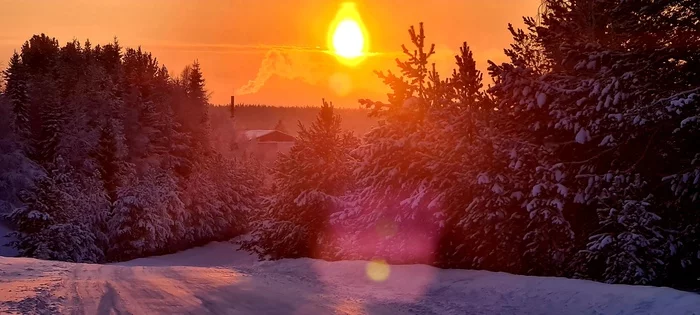 Winter - My, Winter, The photo, Mobile photography, Nature