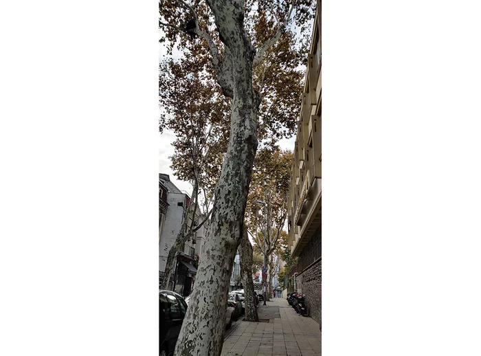 Немного фактов о Стамбуле Путешествия, Стамбул, Путевые заметки, Поездка, Длиннопост, Видео