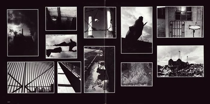 Animals. - My, Pink floyd, Music, Album, Rock, Video, Longpost
