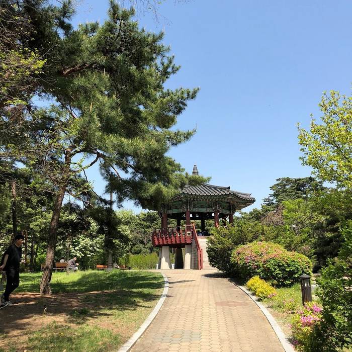 Yeouido Park на берегу реки Ханган - Корея, Азия, Дорама, Восточная Азия, Длиннопост