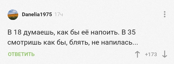 Я сожрал столько микрочипов а потом выстрел и что можно собрать компьютер