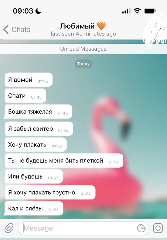 ������ ���� ������