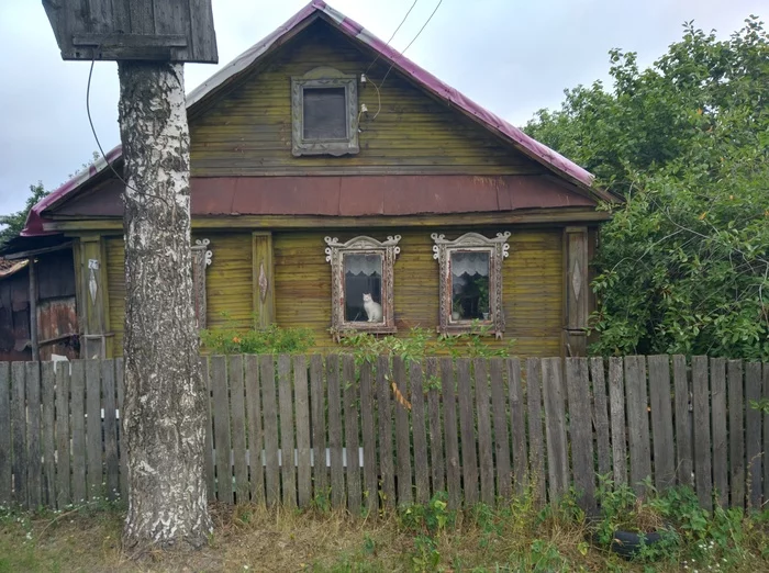 Belyash - My, an old house, cat, Nizhny Novgorod