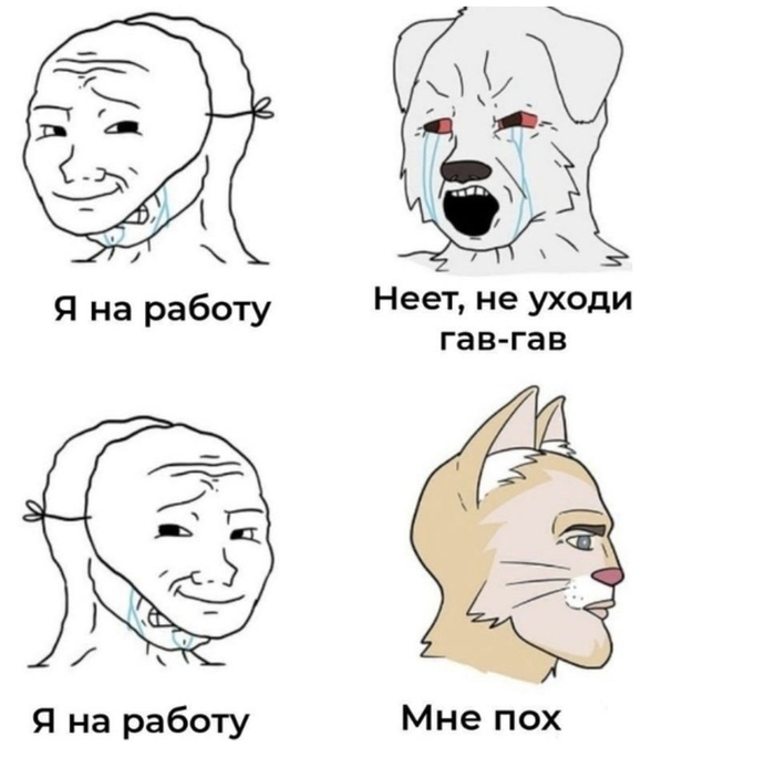 Котики vs собани