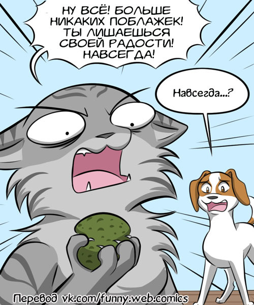 Have fun? - Kat swenski, Comics, cat, Dog, Translation, Video, Longpost, GIF with background