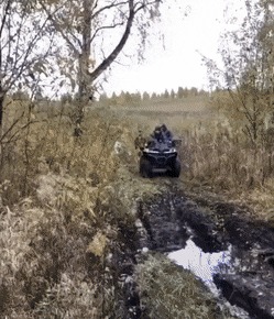   , , , 