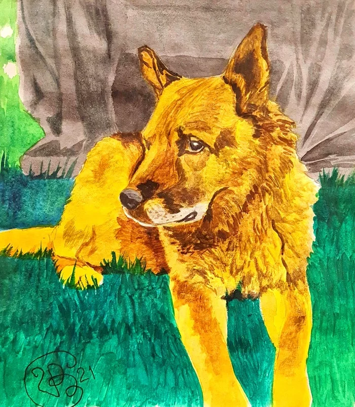 Baron. - My, Hobby, Watercolor, Drawing, German Shepherd, Baron