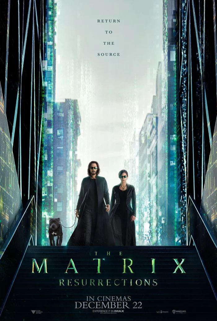 Dog - My, Images, The photo, Memes, The Matrix: Resurrection, Poster, Movie Posters, Dog