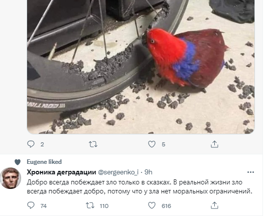 One minute before - A bike, Carbon, A parrot, Twitter, Repeat
