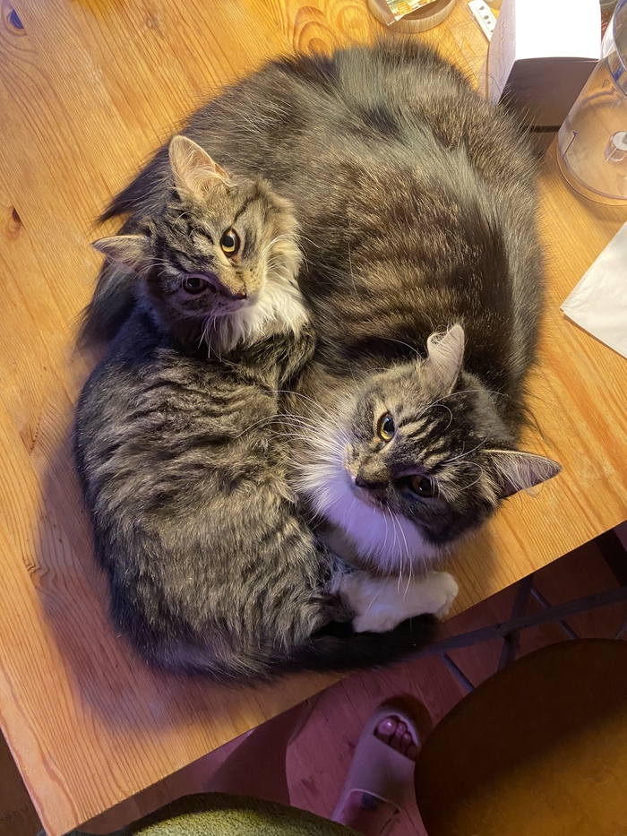 баба на чайнике выражение что значит. Смотреть фото баба на чайнике выражение что значит. Смотреть картинку баба на чайнике выражение что значит. Картинка про баба на чайнике выражение что значит. Фото баба на чайнике выражение что значит баба на чайнике выражение что значит. Смотреть фото баба на чайнике выражение что значит. Смотреть картинку баба на чайнике выражение что значит. Картинка про баба на чайнике выражение что значит. Фото баба на чайнике выражение что значит