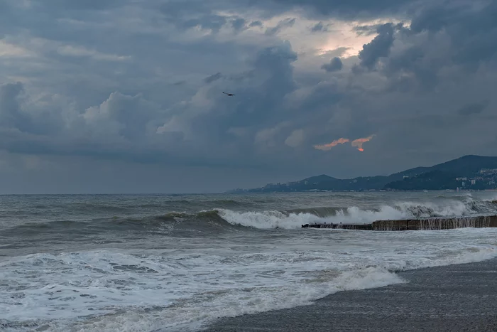 Adlerskoe … - My, Black Sea, Adler, Landscape, Nikon, Longpost