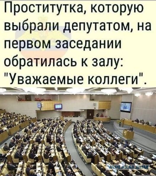 Thought - Politics, Humor, State Duma, Prostitutes