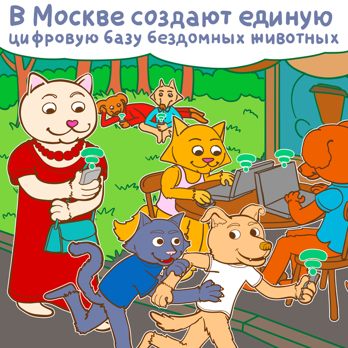 Зеленая бирка на ухе собаки что значит. Смотреть фото Зеленая бирка на ухе собаки что значит. Смотреть картинку Зеленая бирка на ухе собаки что значит. Картинка про Зеленая бирка на ухе собаки что значит. Фото Зеленая бирка на ухе собаки что значит