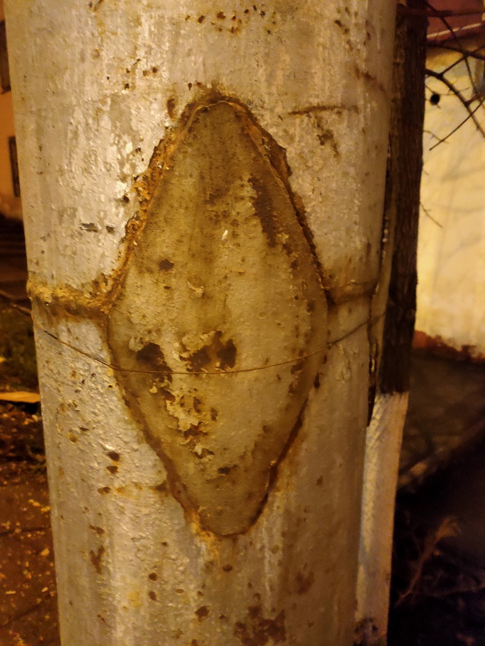 ������� ������