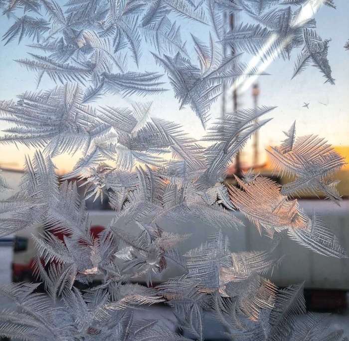 � ����� ������ ������