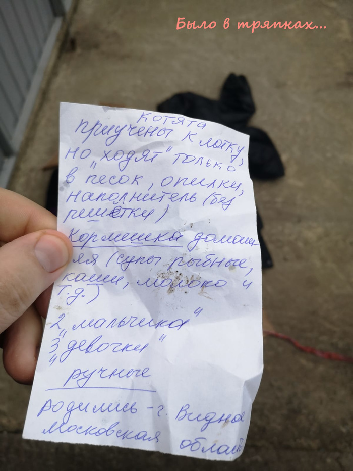 что такое жест доброй воли. Смотреть фото что такое жест доброй воли. Смотреть картинку что такое жест доброй воли. Картинка про что такое жест доброй воли. Фото что такое жест доброй воли