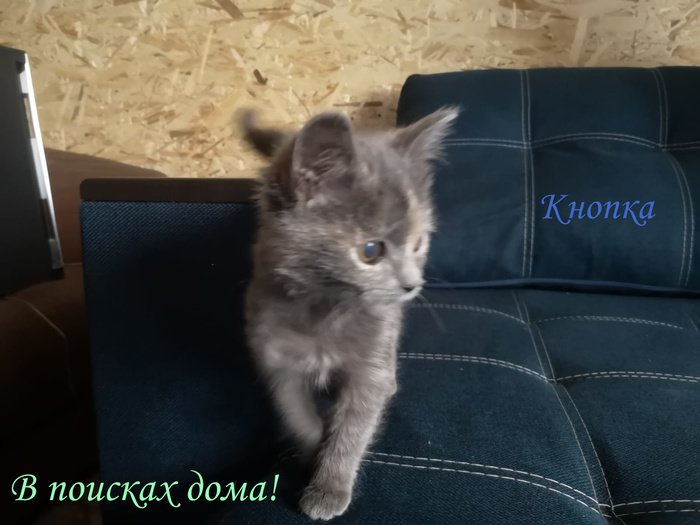 что такое жест доброй воли. Смотреть фото что такое жест доброй воли. Смотреть картинку что такое жест доброй воли. Картинка про что такое жест доброй воли. Фото что такое жест доброй воли
