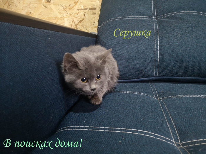 что такое жест доброй воли. Смотреть фото что такое жест доброй воли. Смотреть картинку что такое жест доброй воли. Картинка про что такое жест доброй воли. Фото что такое жест доброй воли