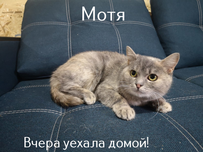 что такое жест доброй воли. Смотреть фото что такое жест доброй воли. Смотреть картинку что такое жест доброй воли. Картинка про что такое жест доброй воли. Фото что такое жест доброй воли