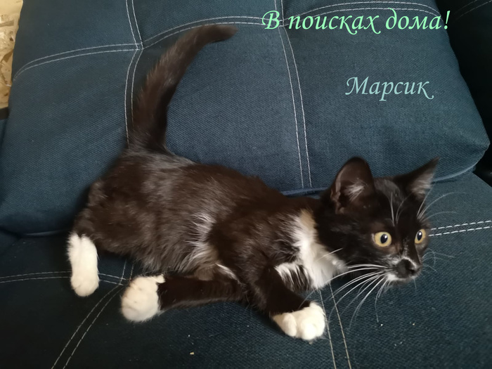 что такое жест доброй воли. Смотреть фото что такое жест доброй воли. Смотреть картинку что такое жест доброй воли. Картинка про что такое жест доброй воли. Фото что такое жест доброй воли