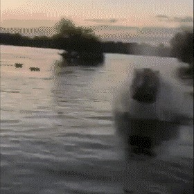   , , , 