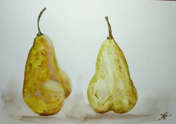 Natural beauty - My, Pear, Watercolor, Фрукты, Art, Drawing, Artist, Ideally, Longpost