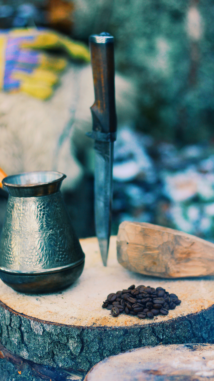 Лесной поход