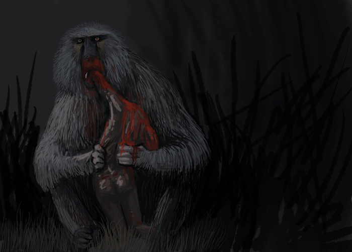    Dinopithecus ingens   " " (Homo habilis)  , , , , 