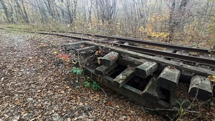 Матрица. Последняя из рода горных узкоколеек России (часть 2) Апшеронский район, Краснодарский край, Поезд, Узкоколейка, Природа, Люди, Деревня, Путешествие по России, Длиннопост Матрица. Последняя из рода горных узкоколеек России (часть 2) Апшеронский район, Краснодарский край, Поезд, Узкоколейка, Природа, Люди, Деревня, Путешествие по России, Длиннопост