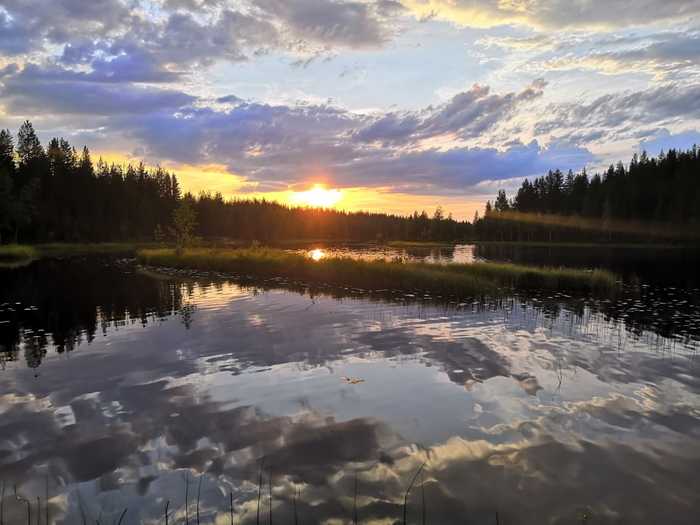 Лето. Солнце - Моё, Фотография, Природа, Длиннопост