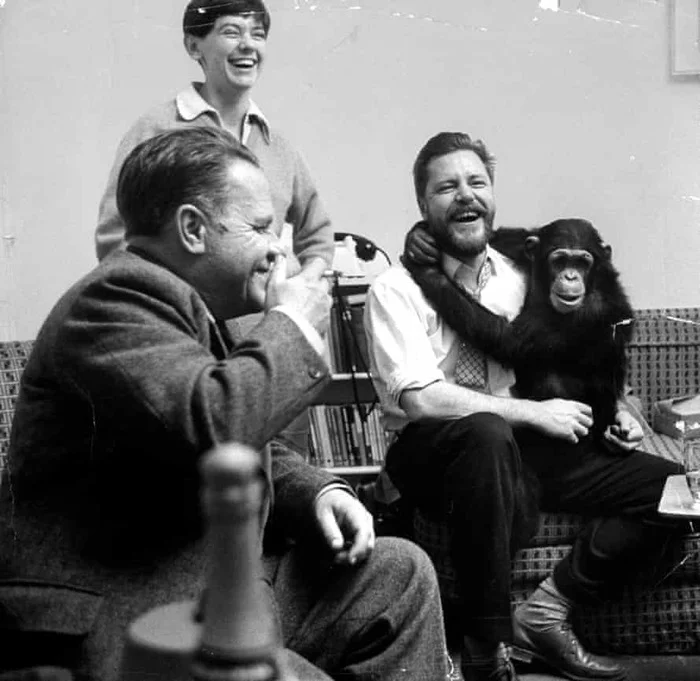 Five o'clock swill - Gerald Durrell, Alcohol, New Zealand, No alcohol law, Foreign literature, Humor, Excerpt from a book, Naturalist, Longpost