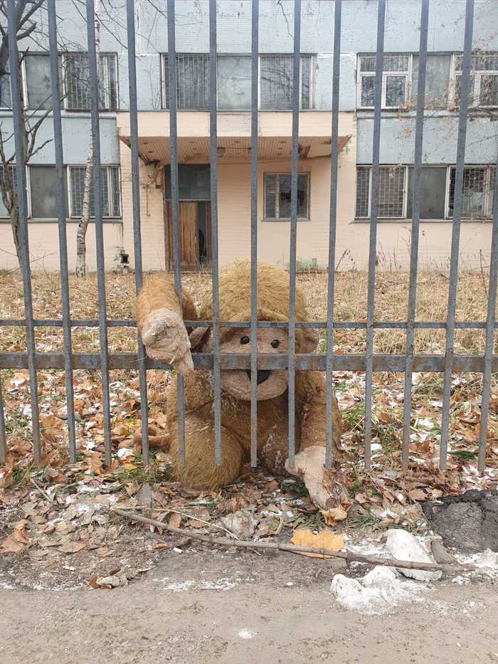 ��� ������������