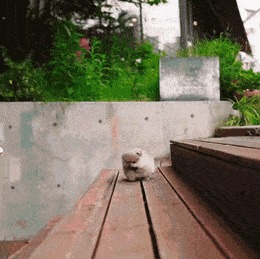   , , , 