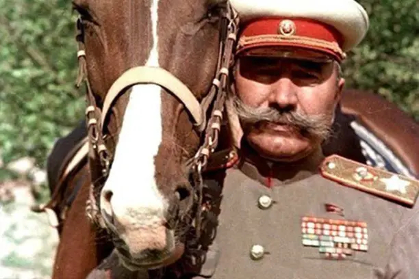 Budennovskaya breed of horses - Horses, Horse breeds, Horseback Riding, Longpost