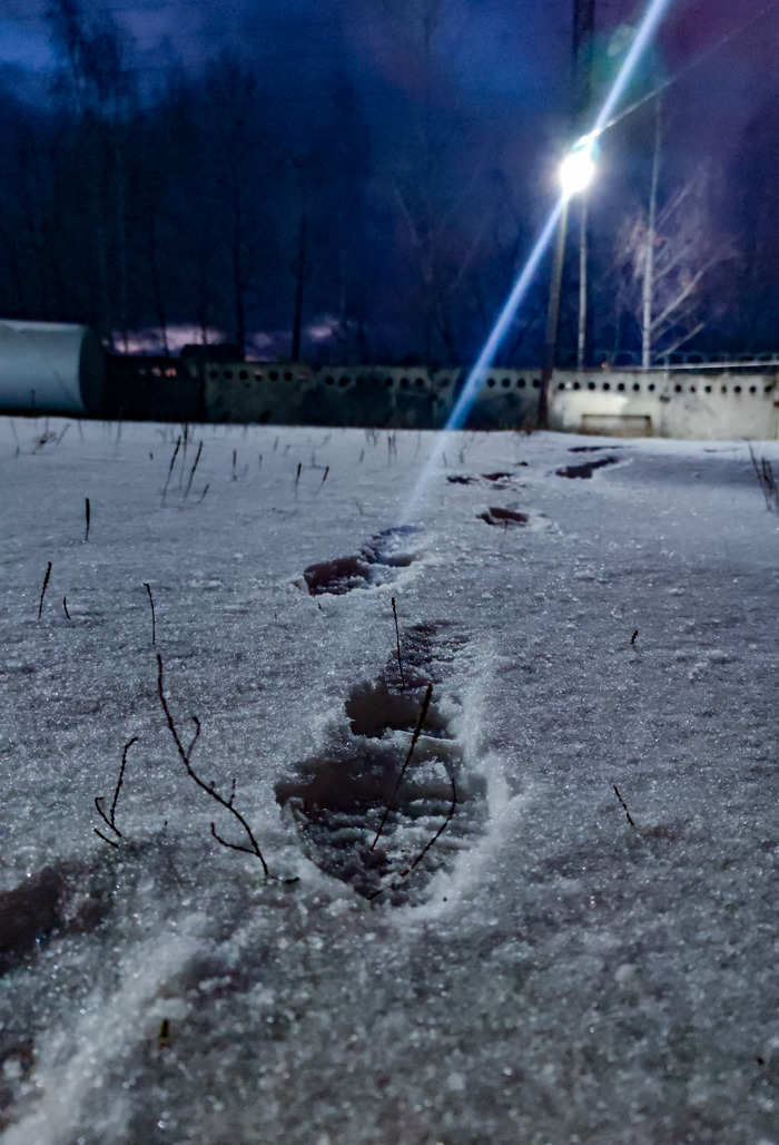 Рабочий след