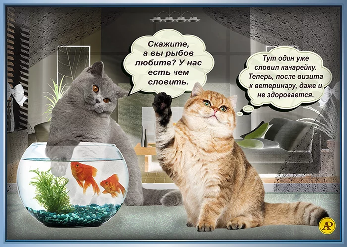 Новинка из серии «про котикаф и рыбов» - Моё, Кот, Рыба, Юмор, Мемы, Иллюстрации
