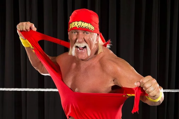 Old man Hulk Hogan - My, Time, Childhood, Childhood of the 90s, Story