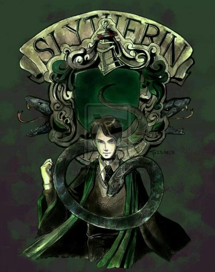 voldemort - Harry Potter, Hogwarts, Salazar Slytherin, Slytherin, Voldemort, Tom Riddle, Magic, Black magic