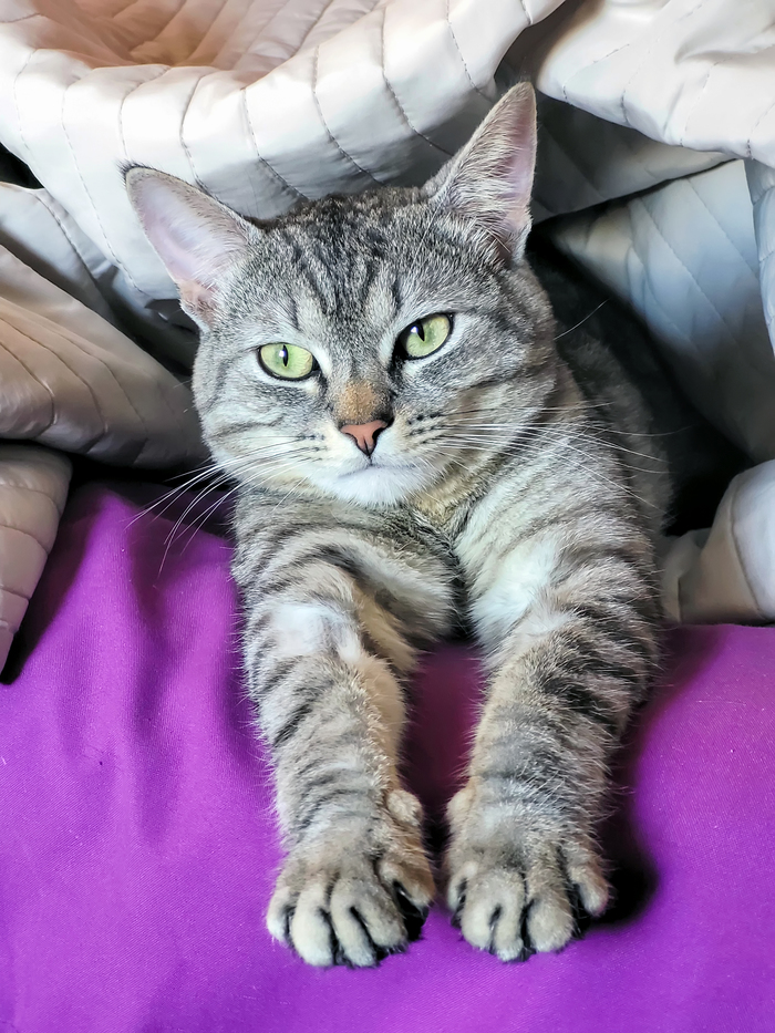 Сделайте мне коготочки. Кросиво