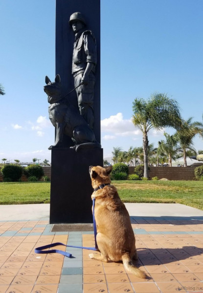 - Walled up, demons! - Monument, Dog