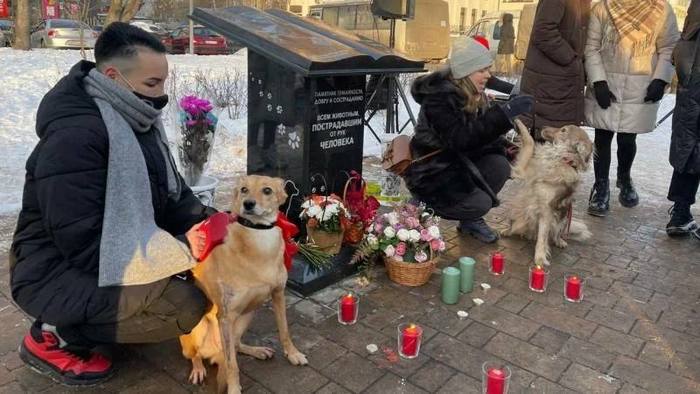 Dogs are better than people - Stray dogs, Negative, Death, Hypocrisy, Monument, Nizhny Novgorod, Longpost