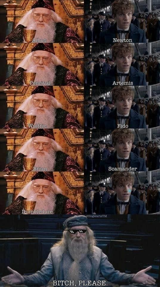 Dumbledore is the first in everything - Harry Potter, Albus Dumbledore, Newt Scamander