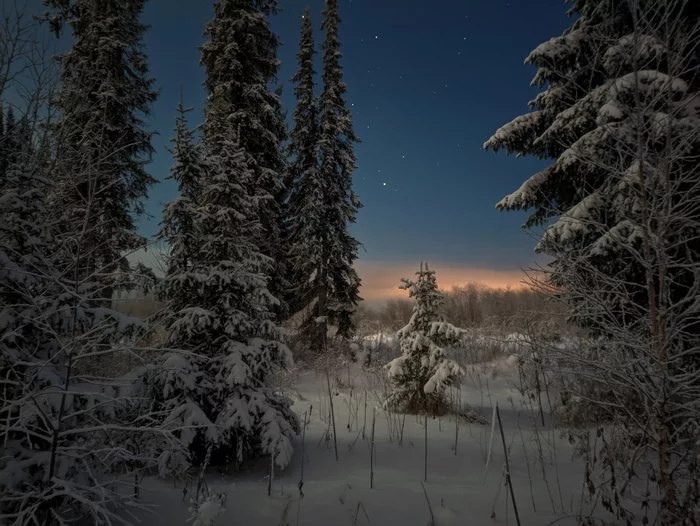 Winter night - Night, Winter, Snow, The photo