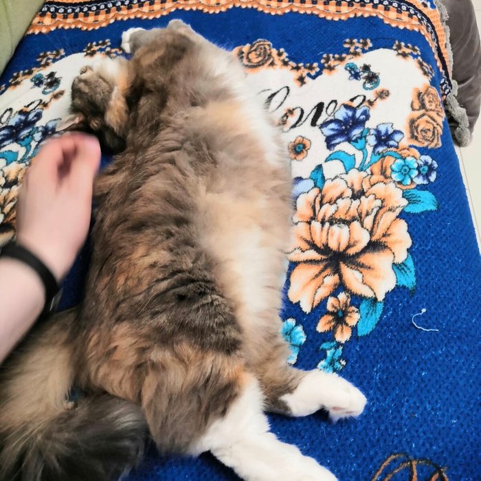 1637942997167222298 Можно я тебя потрогаю там