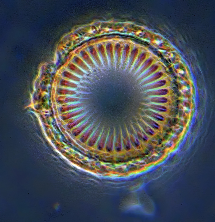 Око древнего мира